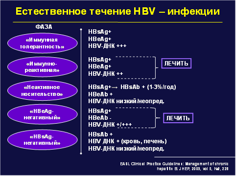 Естественное течение HBV-инфекции