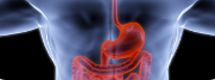 Совет экспертов  «Практические шаги по профилактике рака желудка: алгоритм ведения больных хроническим геликобактерным гастритом»