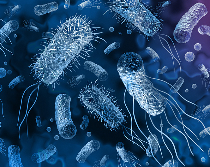 От каких бактериальных инфекций умирают чаще? Мировая статистика