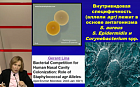 Аллергия на продуценты Staphylococcus aureus и грибов рода Malassezia у больных атопическим дерматитом