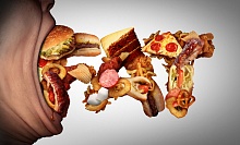 Какие компоненты пищи могут отвечать за развитие сахарного диабета и ожирения? 