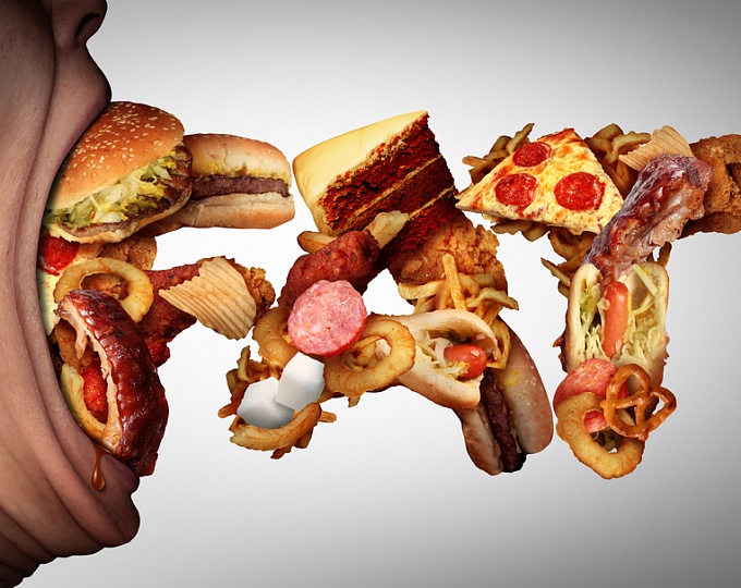 Какие компоненты пищи могут отвечать за развитие сахарного диабета и ожирения? 