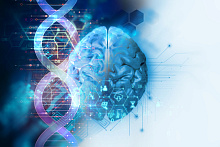Выявлены новые гены, играющие роль в развитии шизофрении 