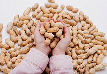 Является ли безопасной и эффективной пероральная иммунотерапия арахисом у малышей?