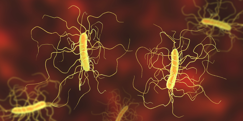 Помогут ли антитела в борьбе с инфекцией Clostridioides difficile?