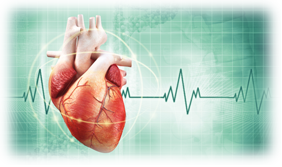 Научно-практическая конференция с международным участием «Инновации в диагностике и лечении сердечно-сосудистых заболеваний
