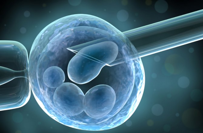 Искусственные стволовые клетки сердца - многообещающая стратегия в регенеративной медицине