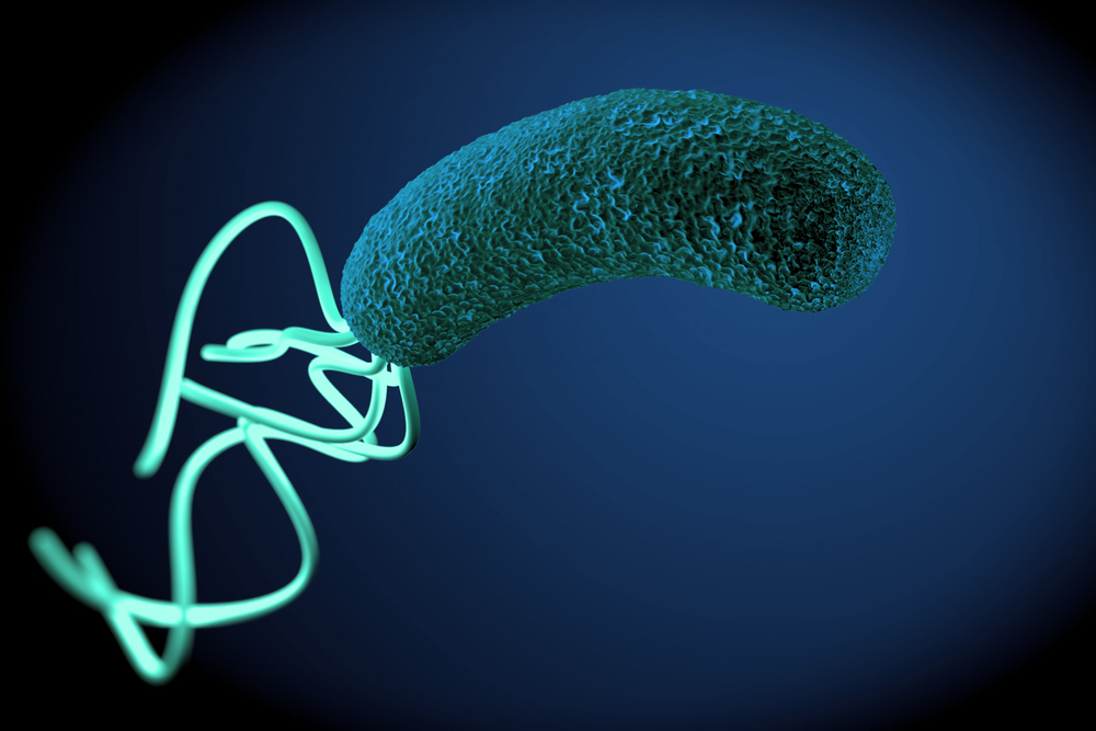 Какую схему эрадикации H. pylori выбрать при недавнем использовании макролидов?