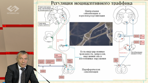 ЮБИЛЕЙНАЯ L Всероссийская Образовательная Интернет Сессия для врачей. Секция НЕВРОЛОГИЯ