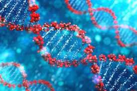 Готовы ли мы к внедрению генетических исследований в клиническую практику?