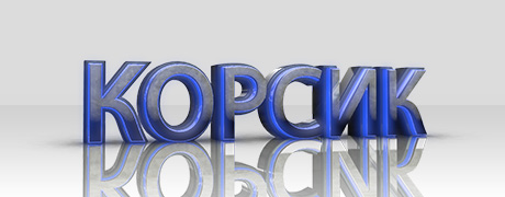 «КОРСИК» - первый медицинский общероссийский кардиологический интернет кружок 