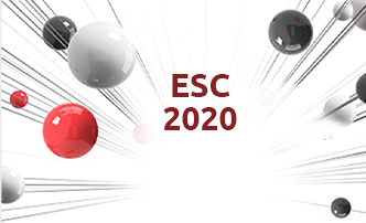 Рекомендации ESC 2020 по ведению пациентов с острым коронарным синдромом без подъема сегмента ST: обзор изменений
