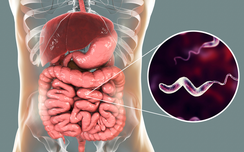 Влияние Helicobacter pylori на иммунотерапию