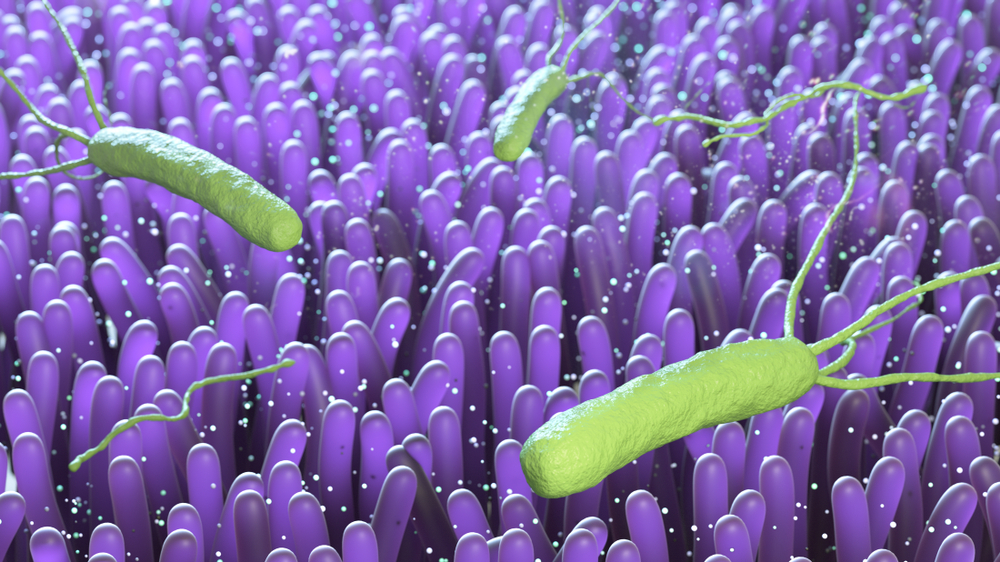 Проводить или нет эрадикацию Helicobacter pylori при наличии рака желудка у родственников первой линии?