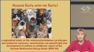 Кошка в доме: быть или не быть (с позиций молекулярной аллергологии)
