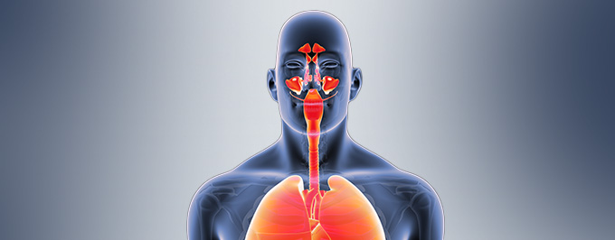 Неиспользованные резервы в профилактике инфекций верхних дыхательных путей