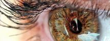 Инфекция в офтальмологии «Красный глаз»