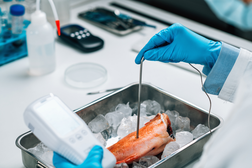 Опасения по поводу ртути в морепродуктах несправедливы?