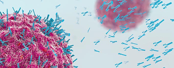 BITE антитела в терапии минимальной остаточной болезни при остром пре-В-клеточном лимфобластном лейкозе у взрослых 