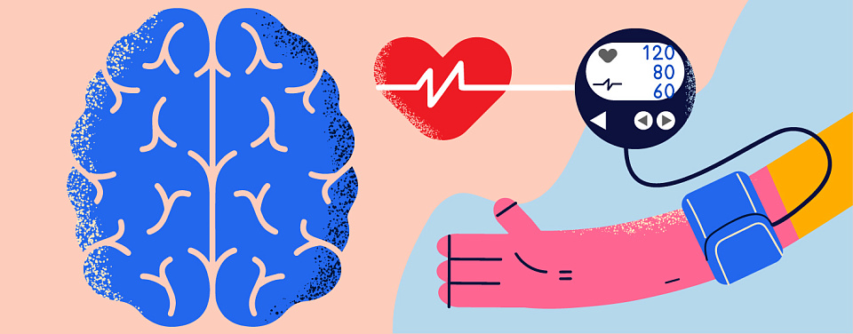 Стабильность АД и функция мозга: систематические ошибки в клинической практике лечения АГ  и пути их преодоления. Точка зрения кардиолога и невролога.  