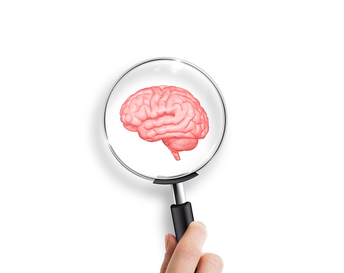 Гормональная терапия и риск кровоизлияний из кавернозных мальформаций головного мозга у женщин