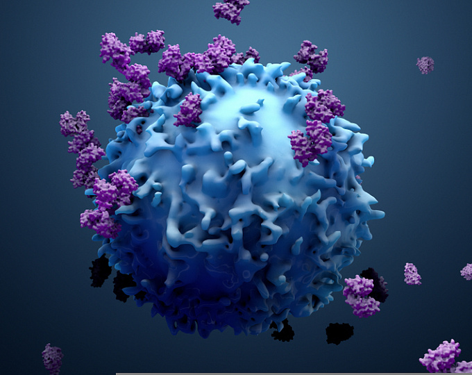 Влияние ингибиторов протонной помпы на эффективность иммунотерапии 