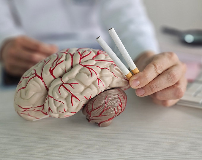 Цитомегаловирусная инфекция и нейродегенеративные заболевания: есть ли связь?