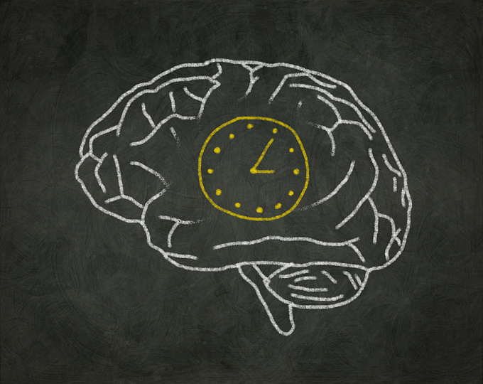 Замедляет ли метформин «диабетическое» старение мозга?