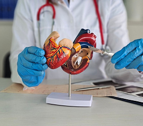 Транскатетерная замена трикуспидального клапана: данные клинической практики