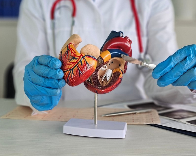 Транскатетерная замена трикуспидального клапана: данные клинической практики