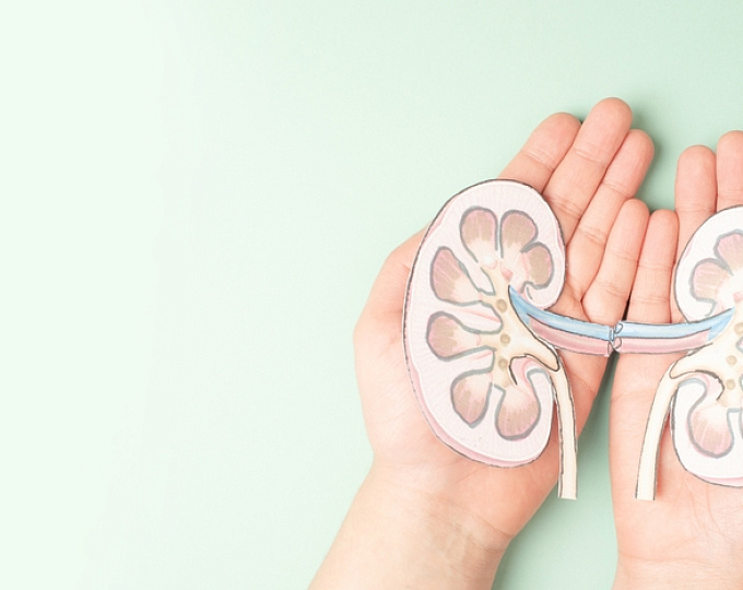 Новые возможности лечения IgA-нефропатии