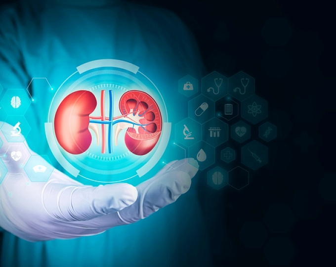Как функция почек влияет на риск рецидива инсульта?