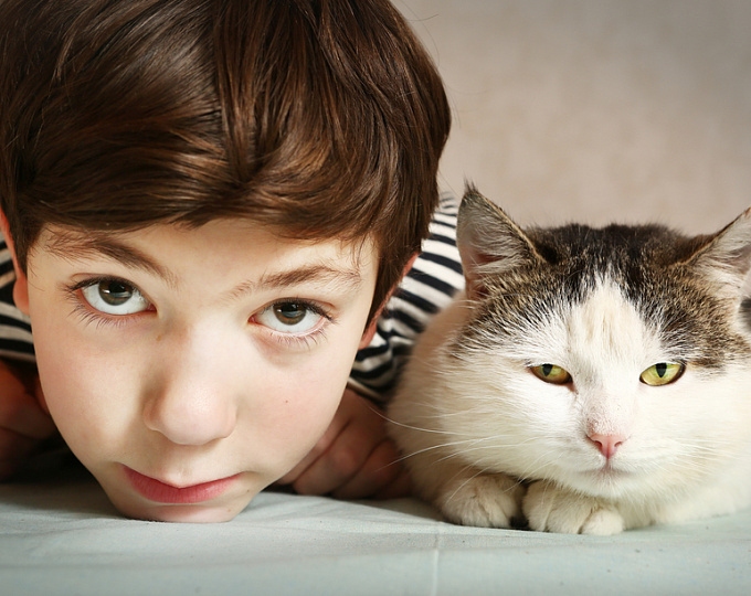 Иммунокомпрометированным пациентам следует избегать контакта с кошками, в том числе собственными 