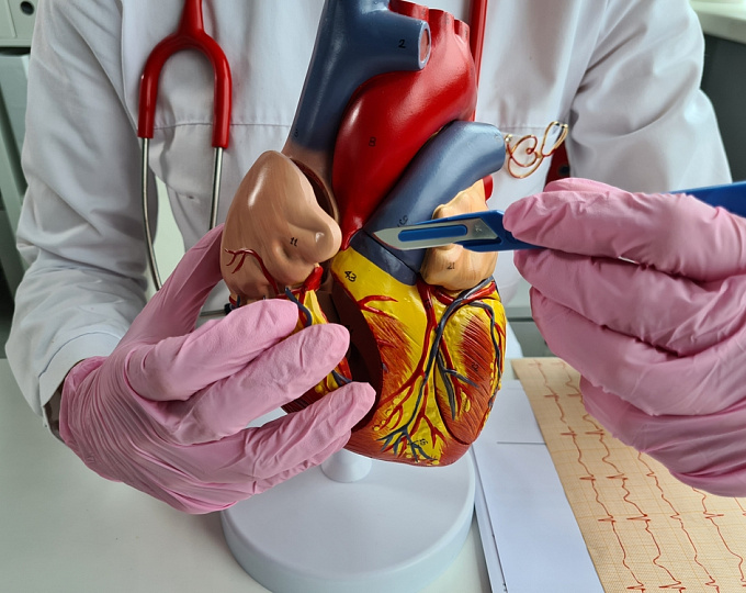 Сердечно-сосудистый риск у пациентов с идиопатическими воспалительными миопатиями