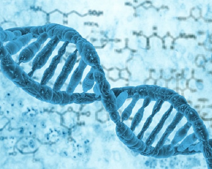 Может ли генетический тест точно предсказать риск онкологических заболеваний?