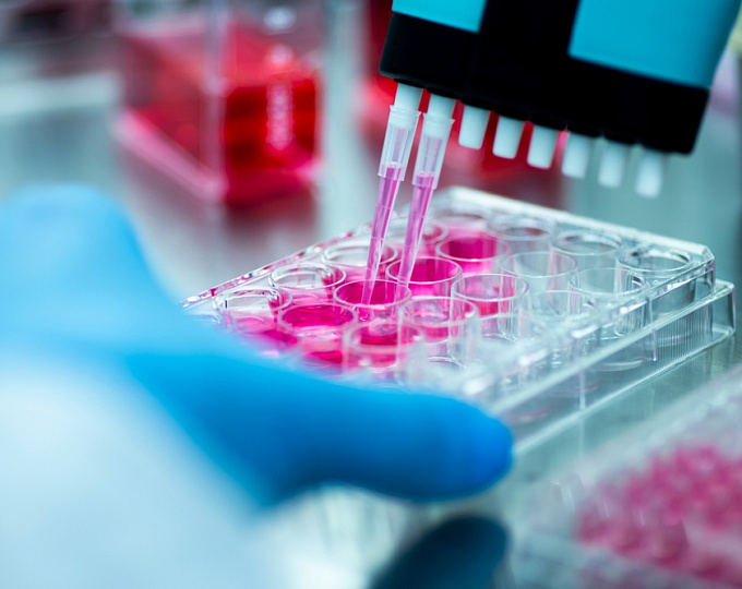 Как подтвержденные мутации влияют на прогноз пациентов с гипертрофической кардиомиопатией?