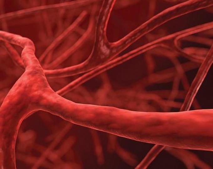 Эзетимиб в комбинации со статинами улучшает эндотелиальную функцию коронарных артерий