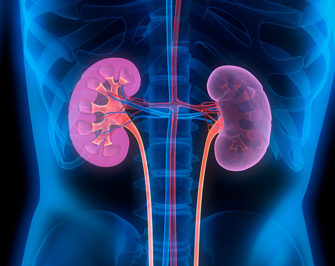 Фетуин-А – новый маркер почечной дисфункции у пациентов с сахарным диабетом 2 типа