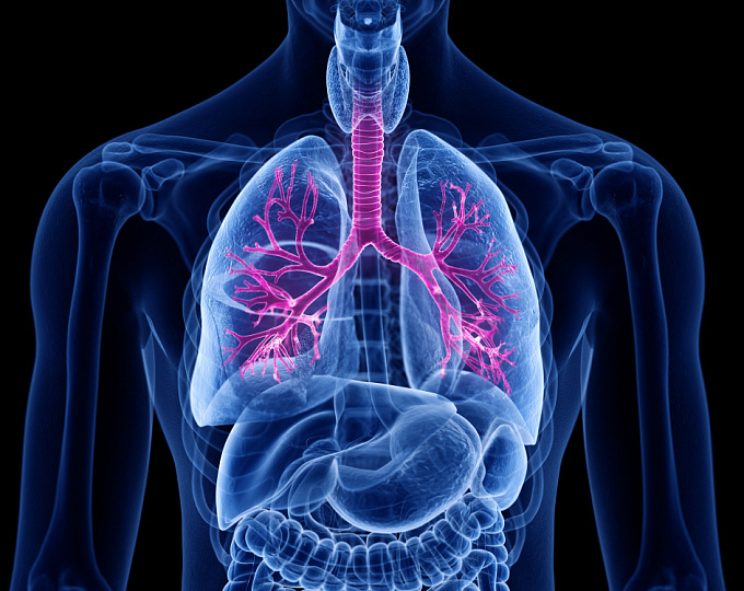 Долгосрочные исходы анти-интерлейкин-5 терапии у больных тяжелой бронхиальной астмой