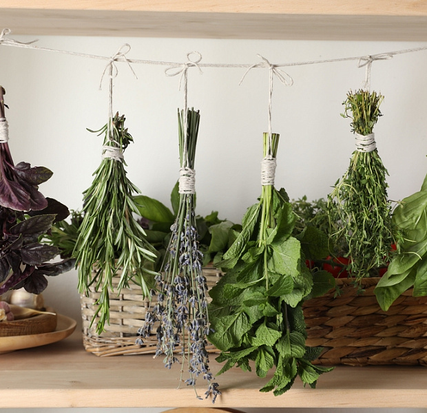 Кулинарные травы в профилактике и лечении ожирения: данные обзорного анализа