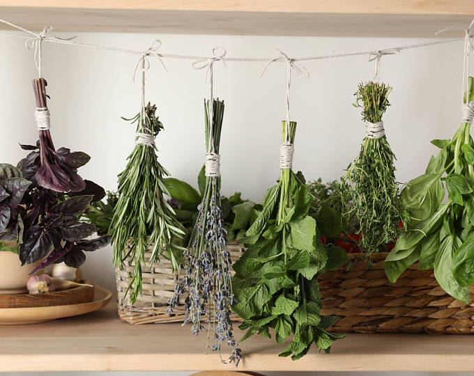 Кулинарные травы в профилактике и лечении ожирения: данные обзорного анализа