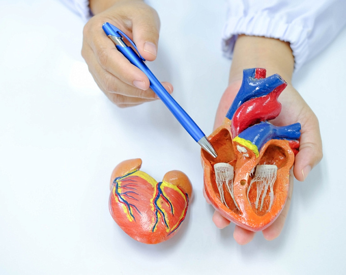 Как заболевания левых отделов сердца влияют на терапию легочной гипертонии?
