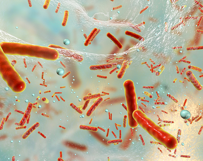 Бактериотерапия в контексте атопического дерматита