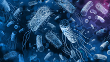 От каких бактериальных инфекций умирают чаще? Мировая статистика