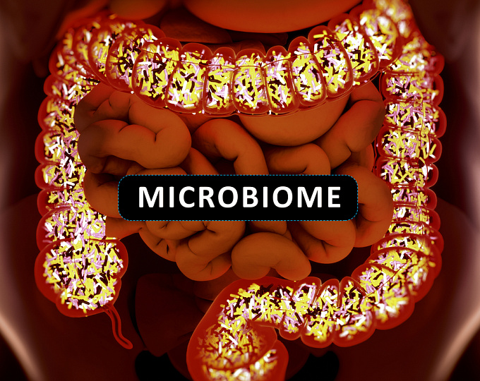 Особенности кишечного микробиома при первичном склерозирующем холангите