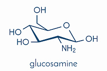 Глюкозамин и рак легких