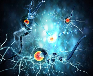 Риск врожденных пороков развития на фоне терапии финголимодом