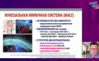 Противовирусная стратегия терапии острой респираторной инфекции и гриппа