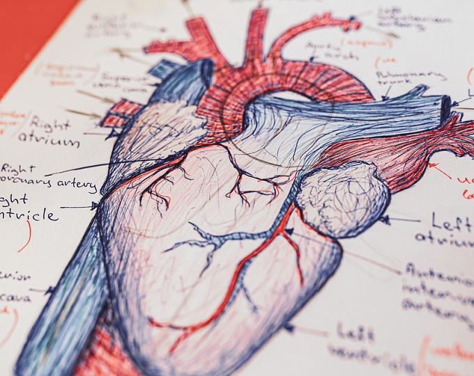 Первичный гиперальдостеронизм: как терапия влияет на ремоделирование сердца?