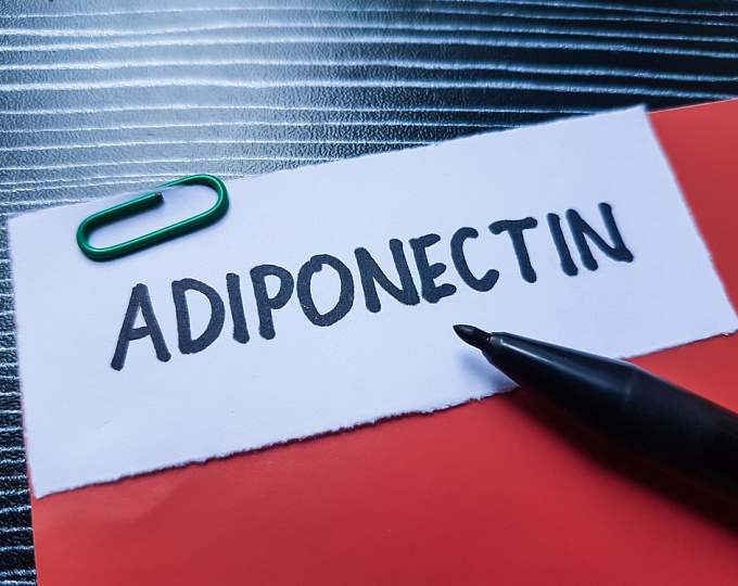 Адипонектин и риск развития артериальной гипертонии